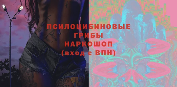 гидра Бородино