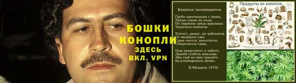 гидра Бородино