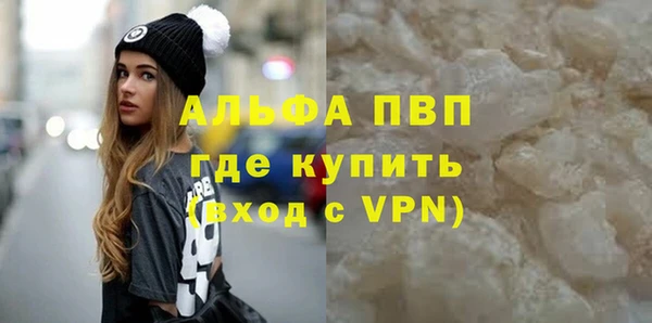 прущие грибы Бугульма