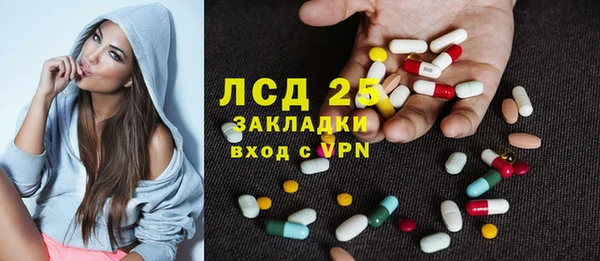 прущие грибы Бугульма