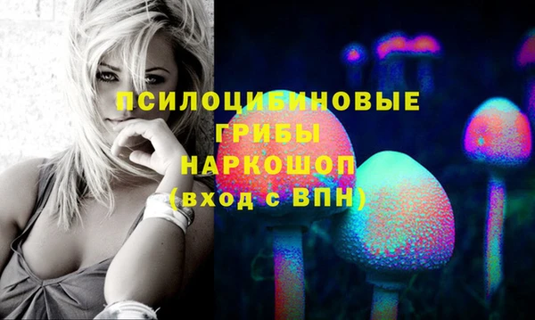 гидра Бородино
