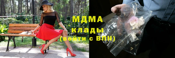 гидра Бородино