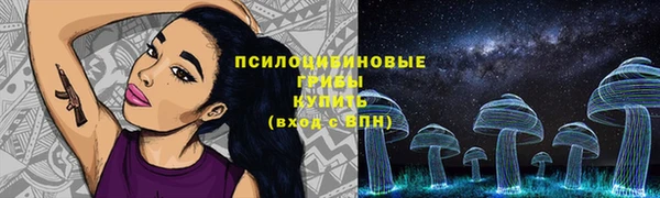 прущие грибы Бугульма