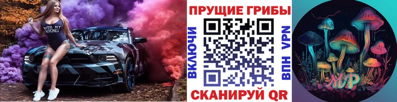 Псилоцибиновые грибы Magic Shrooms  blacksprut tor  Буй 